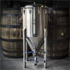 SS BrewTech Fermentors