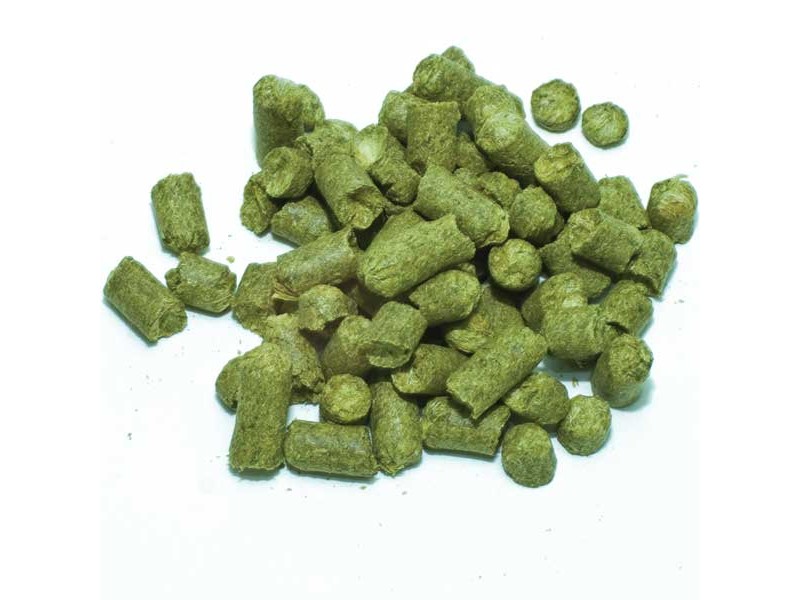 German Hersbrucker Pellet Hops