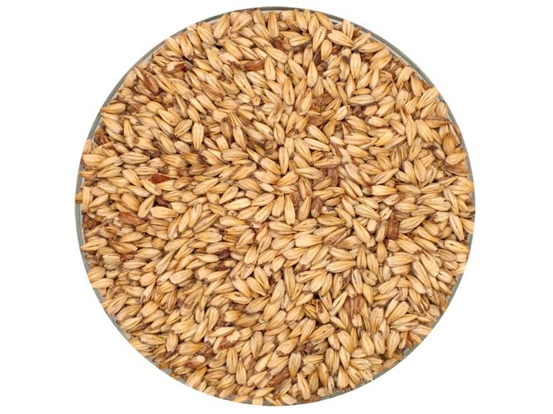 Briess Caramel 10L Malt