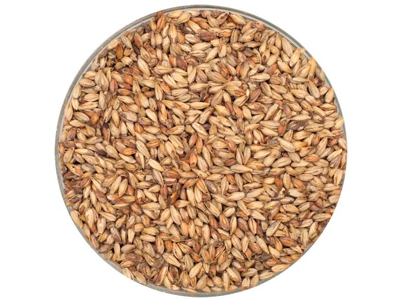 Briess Victory Malt