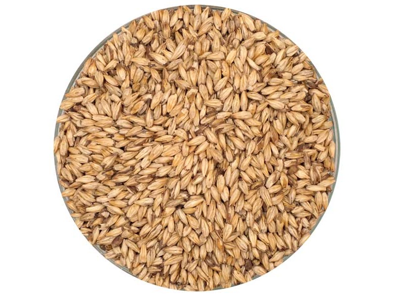 Briess Carapils Malt