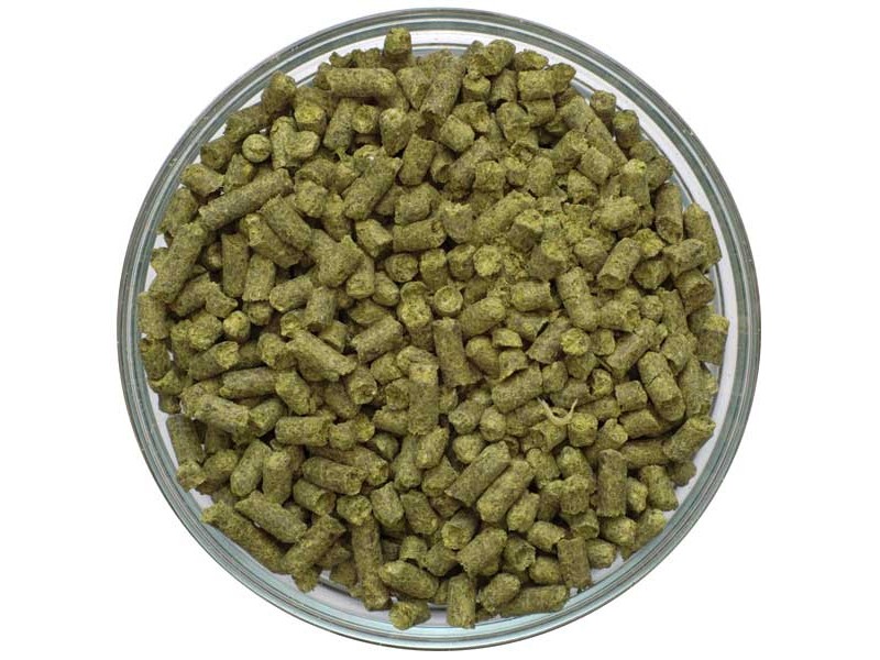 German Spalt Pellet Hops