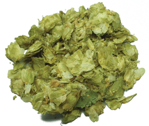 Kent Goldings Leaf Hops