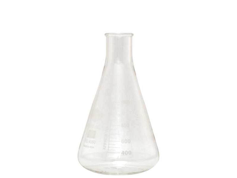 1000 mL Erlenmeyer Flask