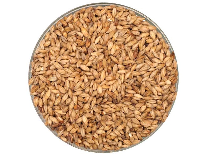 Dingemans Aromatic Malt