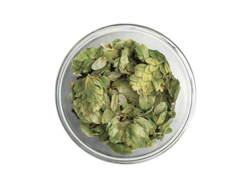 Chinook Leaf Hops