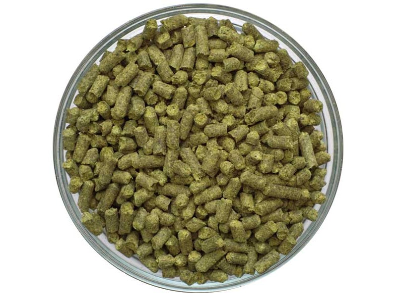 Styrian Goldings Pellet Hops