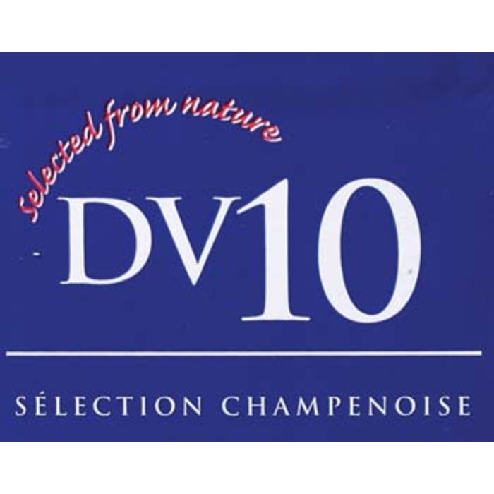 DV10 - Dry Wine Yeast