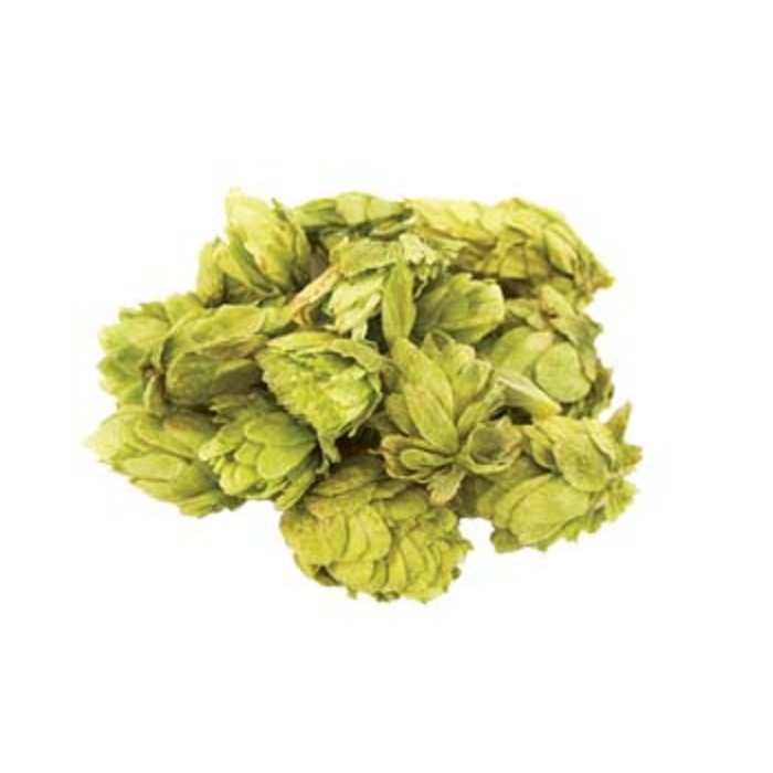 Willamette Leaf Hops