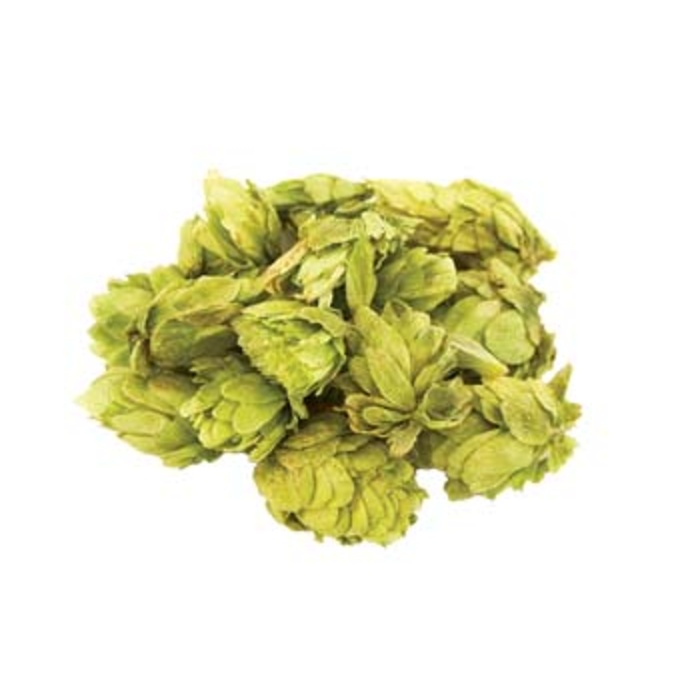 Northern Brewer Leaf Hops