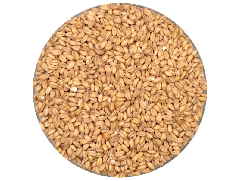 Canada Malting Wheat Malt