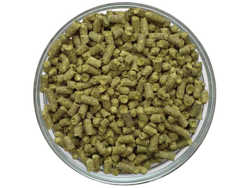 UK Northdown Pellet Hops