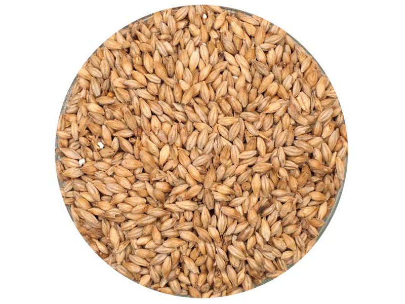 Castle Pilsner Malt