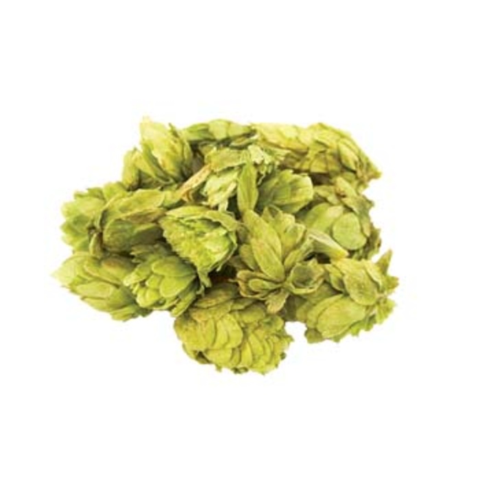 Simcoe Leaf Hops