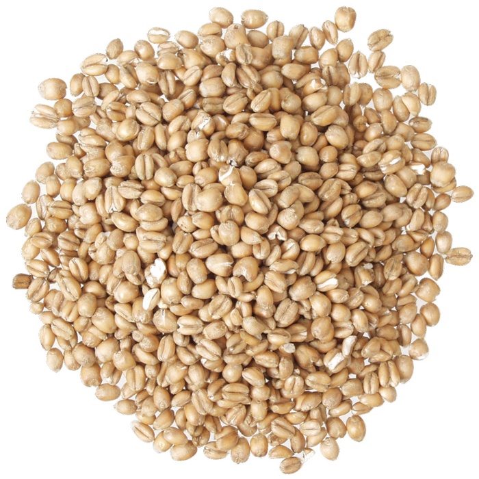 Torrified Wheat Malt