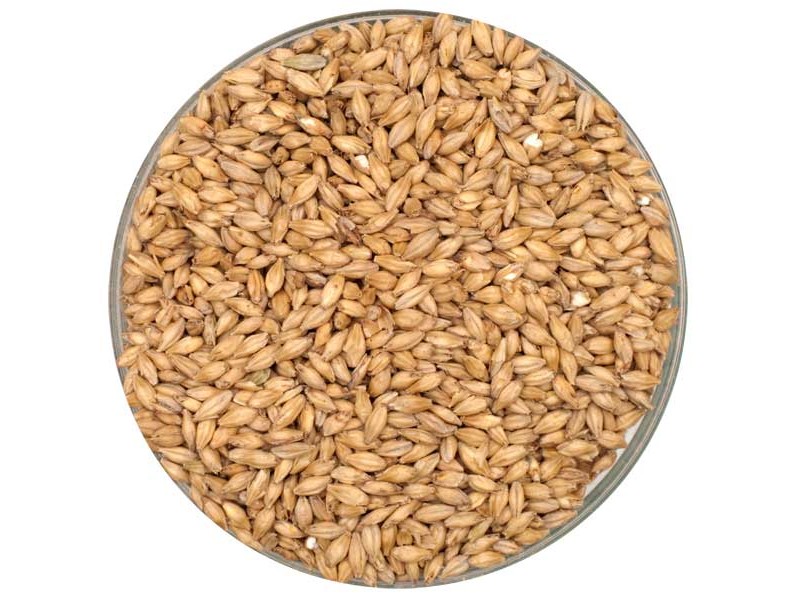 Rahr 2-Row Malt