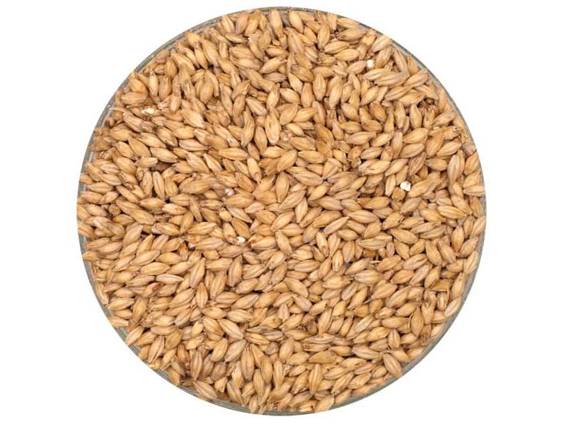 Rahr Premium Pilsner Malt