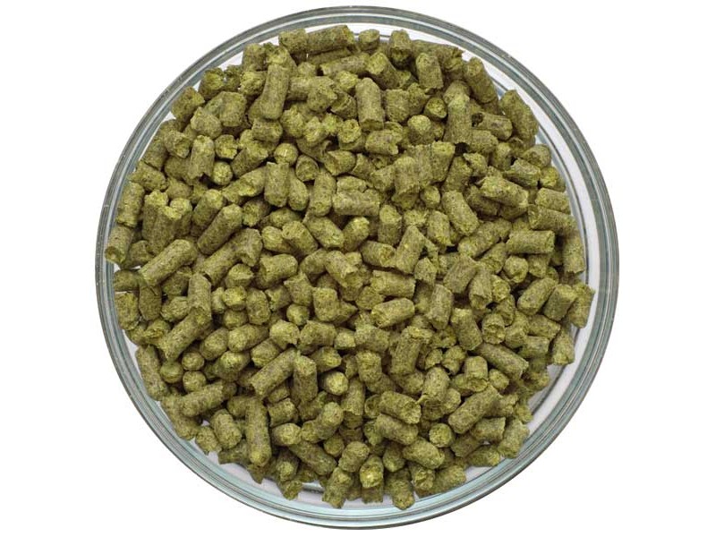 Czech Saaz Pellet Hops