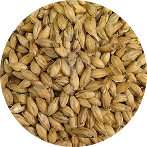 Beechwood Smoked Malt (Weyermann)