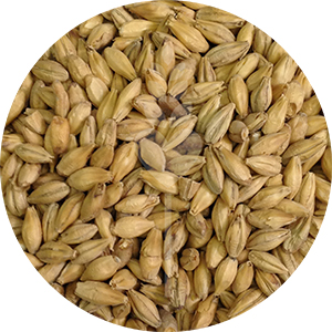 Floor Malted Bohemian Pilsner Malt (Weyermann)