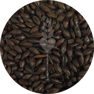 Roasted Black Barley - Unmalted  (Muntons)