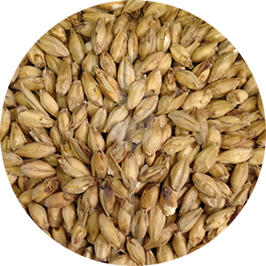 2-Row Brewers Malt (Briess)