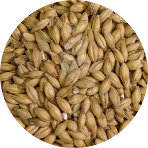 English Pale Malt (Crisp)