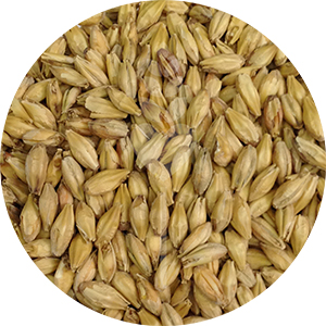 2-Row Pale Malt  (Briess)