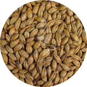 Amber Malt (Crisp)