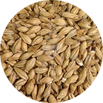 Pilsner Malt (Franco-Belges)