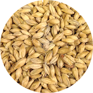 German Pale Malt (Weyermann)