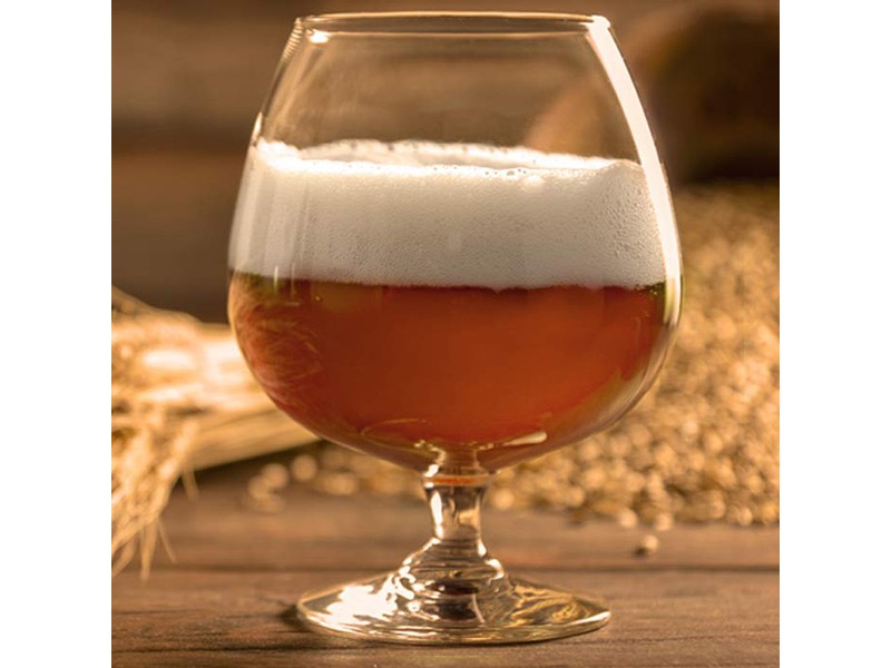 Ares' Bire de Mars - Beer Recipe Kit